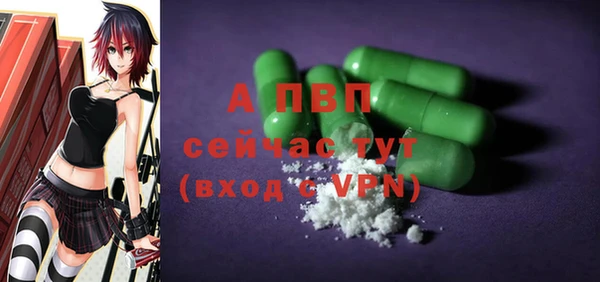 сатива Богородицк