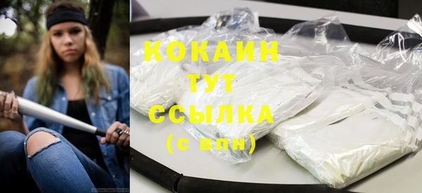 сатива Богородицк