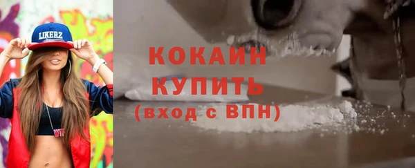 сатива Богородицк