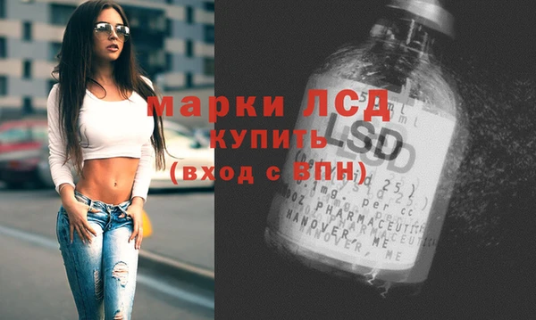 сатива Богородицк
