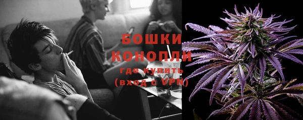 сатива Богородицк