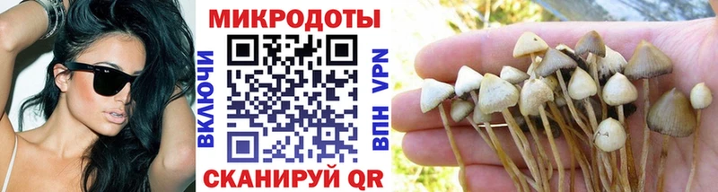 Псилоцибиновые грибы мухоморы  Благовещенск 